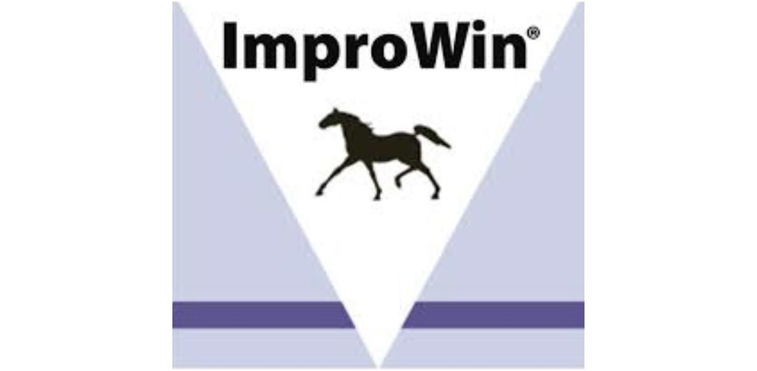 ImproWin