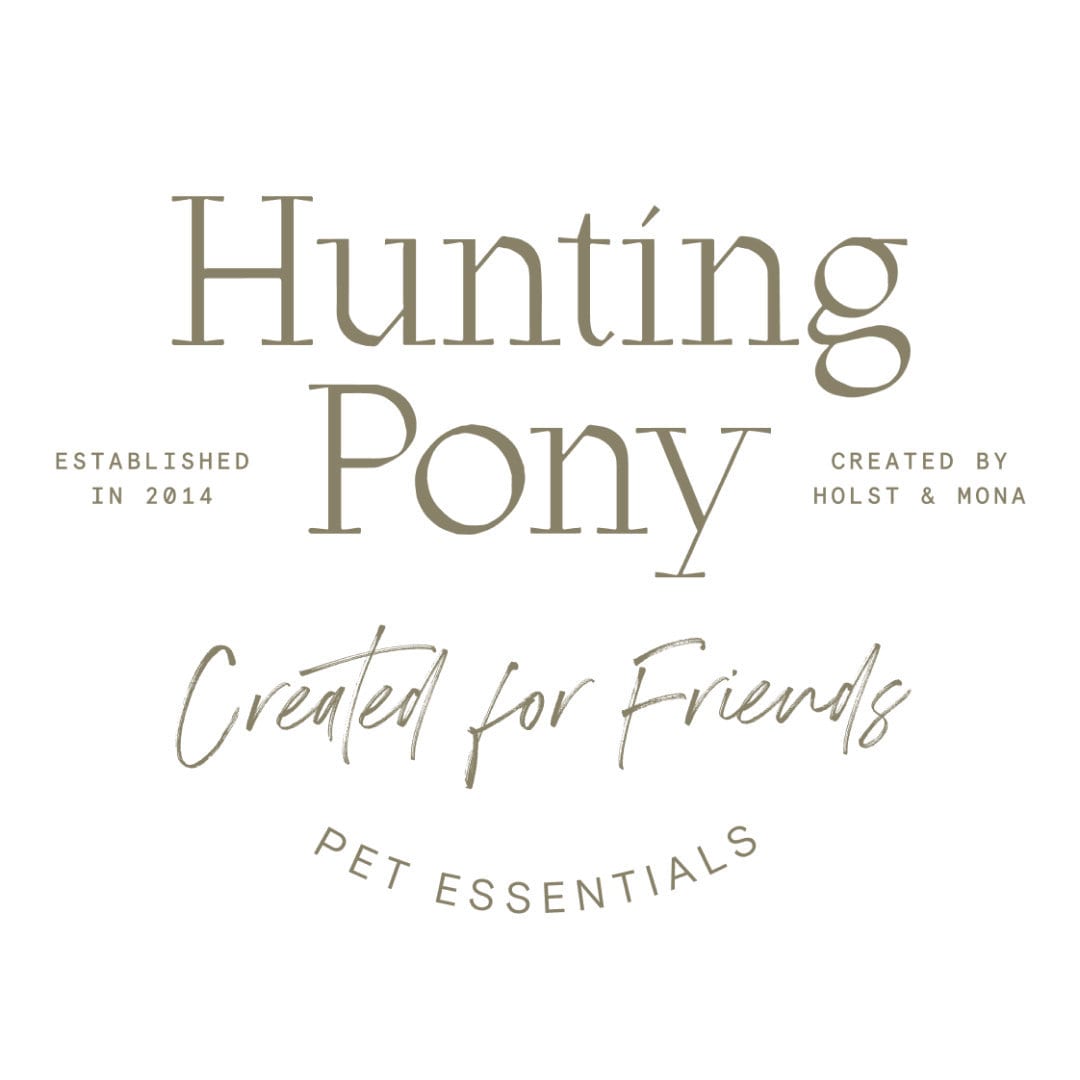Hunting Pony