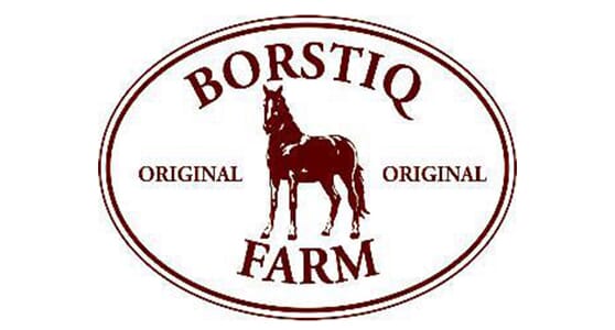 Borstiq